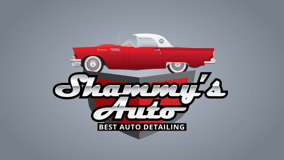 Shammy's Auto Best Auto Detailing digipix digipixinc.com