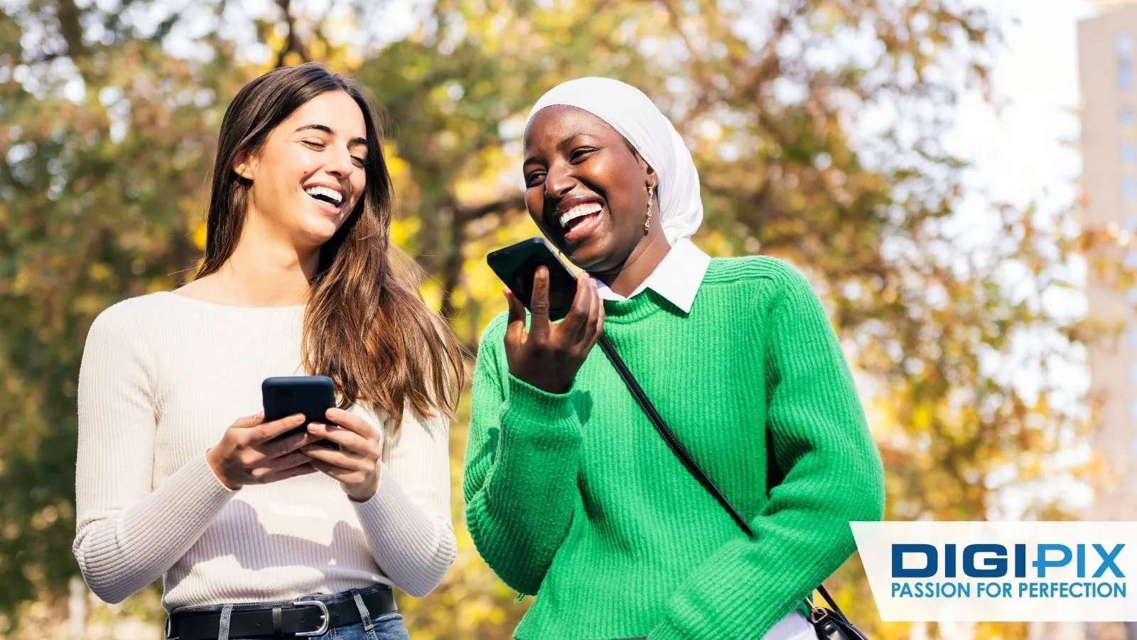Chat showdown: WhatsApp’s features vs Signal’s privacy-first