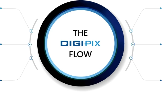 digipixca-execution